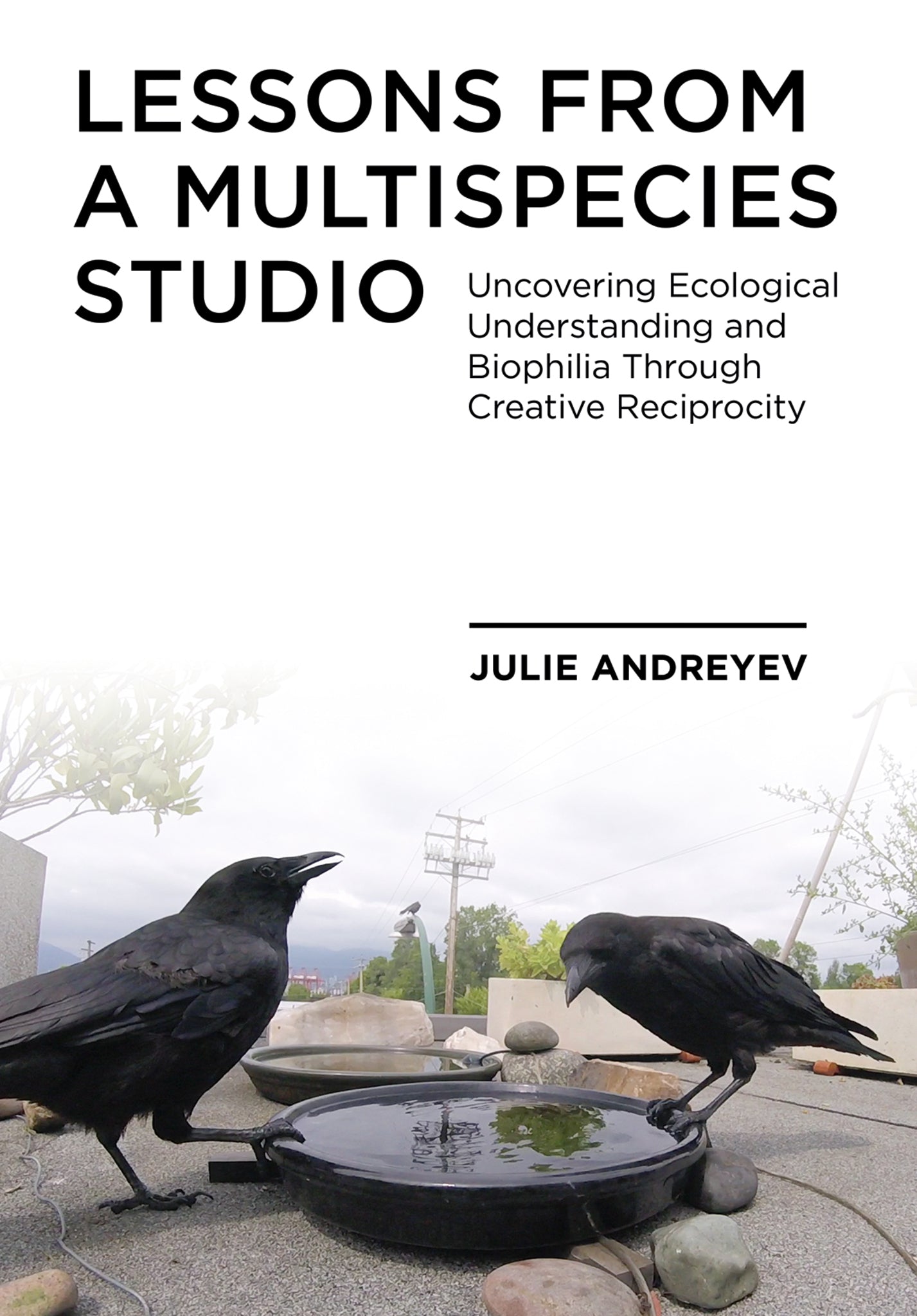 Cover image for Lessons from a Multispecies Studio ISBN 9781789384543